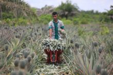 Ilustrasi petani di Riau (Foto: Gatra)