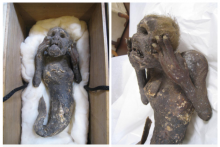 (Sumber: Kinoshita Hiroshi 2021 melalui Pen News)