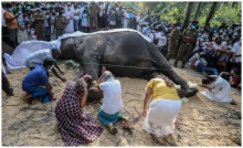 Foto: Chamila Karunarathne/EPA