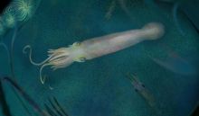 Rekonstruksi artistik Syllipsimopodi di Montana sekitar 330 juta tahun yang lalu. © Disediakan oleh CNET