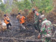 Karhutla di Duri kabupaten Bengkalis