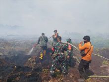 Karhutla di kecamatan Pinggir Kabupaten Bengkalis
