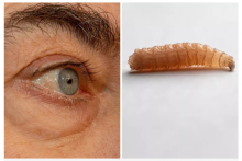 ilustrasi, sumber: ISTOCK/NEWSWEEK