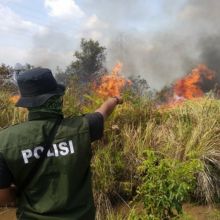 Foto hanya ilustrasi Karhutla (Dok: Riau24) 