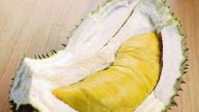 Durian Thailand. Sumber: Internet
