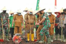Dandim 0303 Bengkalis saat louching lahan ketahangan pangan