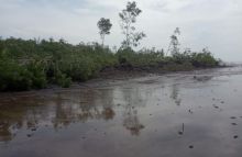 Kondisi perkebunan warga yang hanyut ke laut