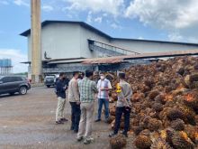 Wakapolres Bengkalis dan Kasareskrim saat mendatangi PT MAS