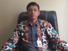 Kadis Tanaman Pangan Holtikultura dan Ketahanan Pangan Ir Emmerson.