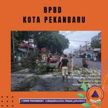 Reaksi Cepat BPBD Kota Pekanbaru, Seperti yang Dilakukan di Daerah Ini