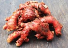 Jahe merah memiliki banyak khasiat yang membantu kesehatan tubuh/net