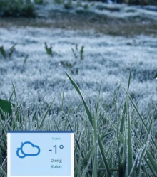 Embun upas di Dieng /ig: ganjar_pranowo