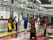 Ilustrasi /okezone.com