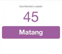 Contoh Hasil Tes Usia Mental/Screenshot