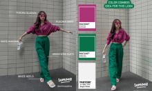 App Lemon8: @erlinaaalina