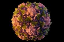 Foto: Kasus polio terakhir di AS tercatat pada 2013, menurut Pusat Pengendalian dan Pencegahan Penyakit (Al Jazeera)