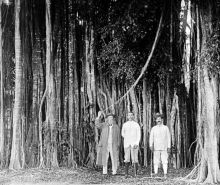 Ilustrasi. Sumber: Internet