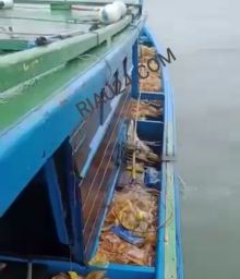 Ribuan bungkus minyak goreng