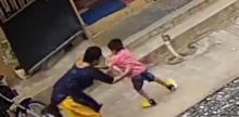 Seorang Ibu Pemberani Nekat Menyelamatkan Putranya Dari Serangan Ular Mematikan Tanpa Mempedulikan Hidupnya Sendiri