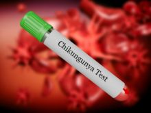 Mengenal Apa Itu Chikungunya, Gejala Dan Penyebabnya