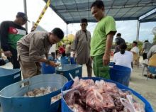 IMRA RAPP Bagikan 7.346 Kantong Kurban