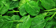 Berikut 30 fakta luar biasa tentang bayam /pinterest