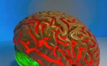 Perawatan Baru Ini Dapat Membalikkan Memori yang Hilang, Kata Para Ilmuwan