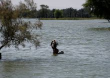 Dari Pakistan Hingga Texas, Hujan Lebat dan Panas Ekstrem Sebabkan Pukulan Ganda Bagi Dunia