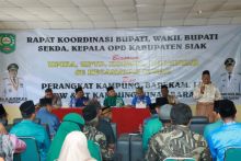 Program Bujang Kampung di Minas Barat