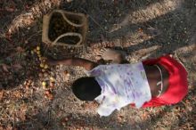 PBB Merencanakan Bantuan Makanan Untuk 700 Ribu Orang di Zimbabwe