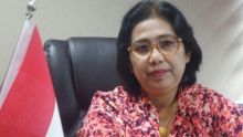 Irma Suryani (Nasdem) tanggapi pernyataan Viva Yoga (PAN) terkait koalisi partai di Pilpres 2024 mendatang /tribunnewswiki.com