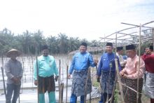 Bupati Alfedri dalam program Bujang Kampung 
