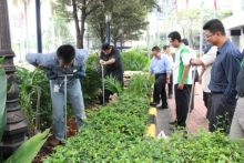  Manfaat Biopori bagi Lingkungan