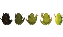 Ledakan bencana Nuklir Chernobyl lahirkan Katak Mutan setelah 36 tahun /net