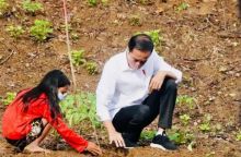 Potret Presiden Joko Widodo di Hari Lingkungan Hidup Sedunia. (Okezone.com/Foto)