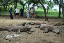  Mentri Lingkungan Hidup dan Kehutanan Surati Gubernur NTT Perihal Tiket Mauk Taman Komodo