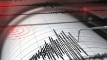 Ilustrasi Gempa. (CNN Indonesia)