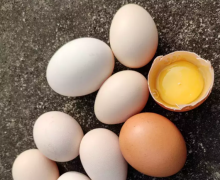 Mengonsumsi telur secara berlebihan dapat mengganggu kesehatan jantung /net