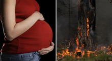 Studi mengungkapkan bahwa kehamilan yang terpapar kebakaran hutan dapat meningkatkan kelahiran prematur /Reuters