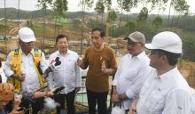 Potret Presiden Joko Widodo alias Jokowi di Ibu Kota Nusantara (IKN). (Twitter/foto)