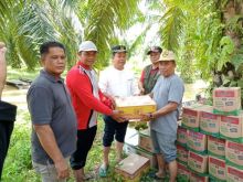 Penyerahan sembako pada warga terdampak banjir di Rokan Hulu