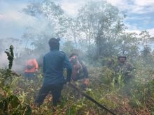 Kebakaran lahan di Dusun Senekip Pambang