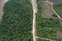 Captions: Kawasan Ecoeduwisata Bandar Bakau Dumai yang dikelola binaan PHR-UNRI yakni Kelompok Pecinta Alam Bahari Bandar Bakau Dumai, sebagai tameng utama dalam mengantisipasi abrasi di kawasan pesisir Riau.