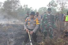 Kapolres Bengkalis dan Damdim saat padamkan api karhutla