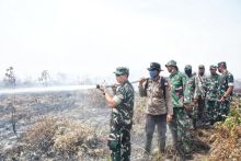 Danrem 031/WB Brigjend TNI Dany Rakca bersama personil TNI-Polri turut memadamkan api di Desa Teluk Lecah Pulau Rupat Bengkalis.