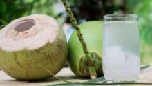 Inilah Waktu Paling Tepat Minum Air Kelapa agar Efektif Menurunkan Berat Badan 