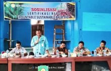 2025, Perusahaan dan Kebun Sawit Wajib Miliki Sertifikat ISPO