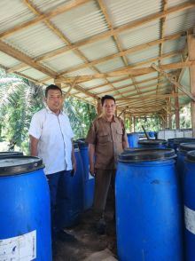 Caption : Kepala Desa Rimba Makmur Rustamaji bersama Askep Kebun Tandun Hari Purwanto saat meninjau lokasi peternakan sapi dan pembuatan pupuk cair hayati. Sinergi Kebun Tandun PTPN V dengan masyarakat Desa Rimba Makmur terjalin apik sehingga pembangunan dan perkembangan ekonomi desa selaras dengan 