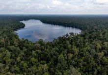 Komitmen APRIL Group dalam Upaya Konservasi dan Restorasi