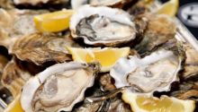 Viral Pria Tewas Setelah Makan Oyster Mentah, Ini Awal Mulanya